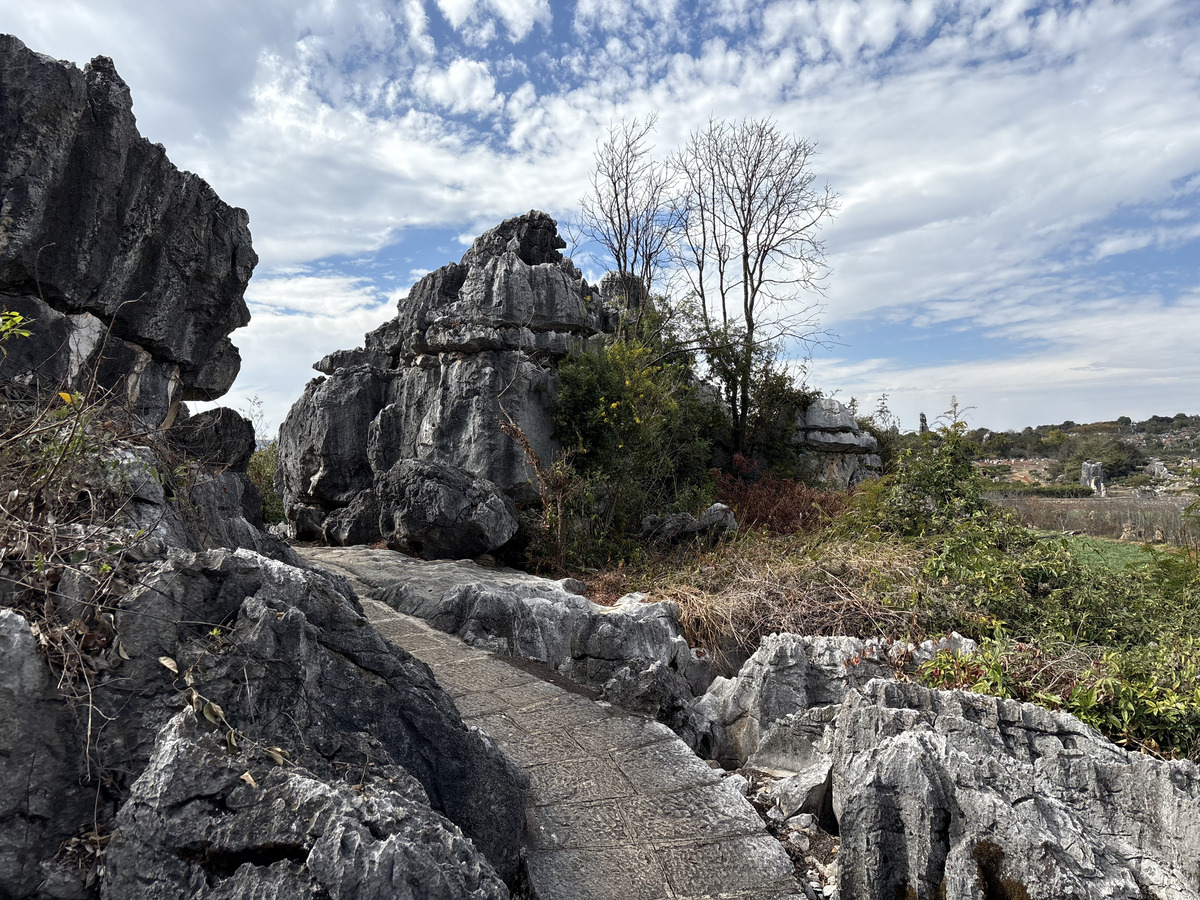 Picture China Shilin Stone Forest 2026-01 393 - SPA Shilin Stone Forest