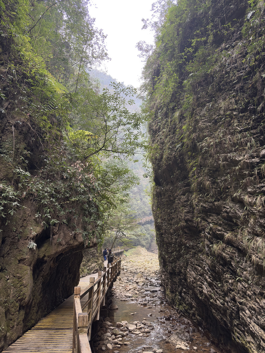 Picture China Zhangjiajie Grand Canion 2026-01 38 - Savings Grand Canion