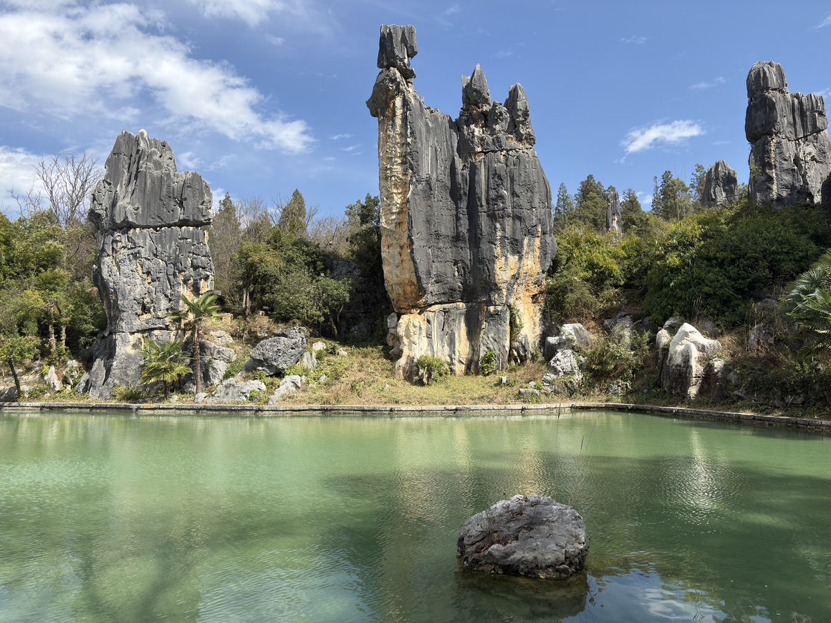Picture China Shilin Stone Forest 2026-01 94 - Summer Shilin Stone Forest