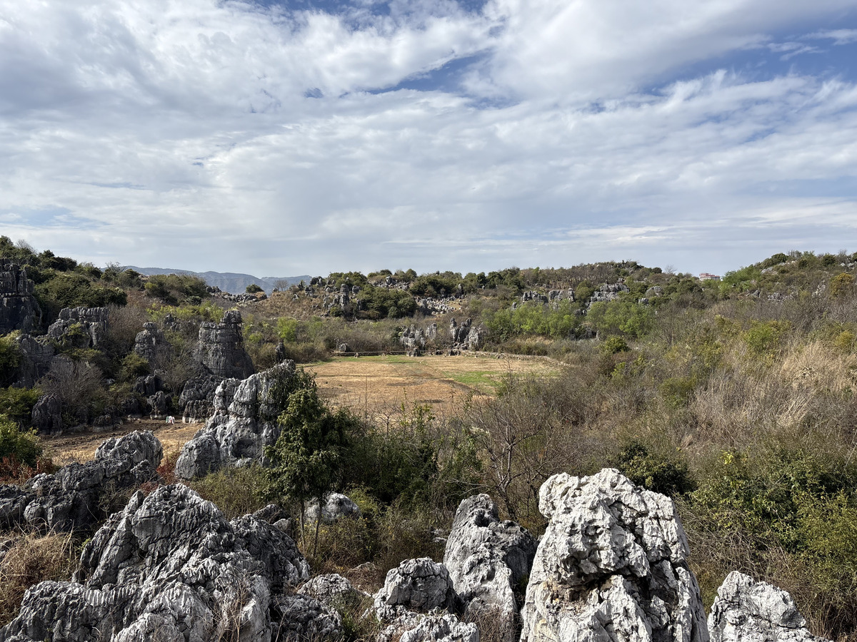 Picture China Shilin Stone Forest 2026-01 244 - Night Shilin Stone Forest