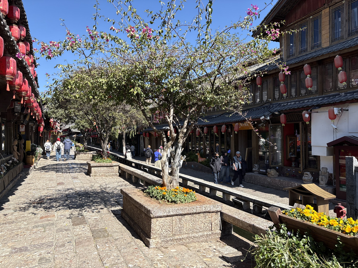Picture China Lijiang 2026-01 201 - City View Lijiang