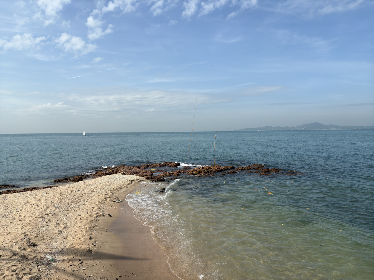Picture Thailand Pattaya 2024-12 31 - Winter Pattaya