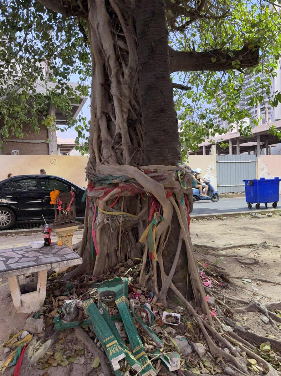 Picture Thailand Pattaya Dongtan beach 2025-12 30 - Saving Dongtan beach