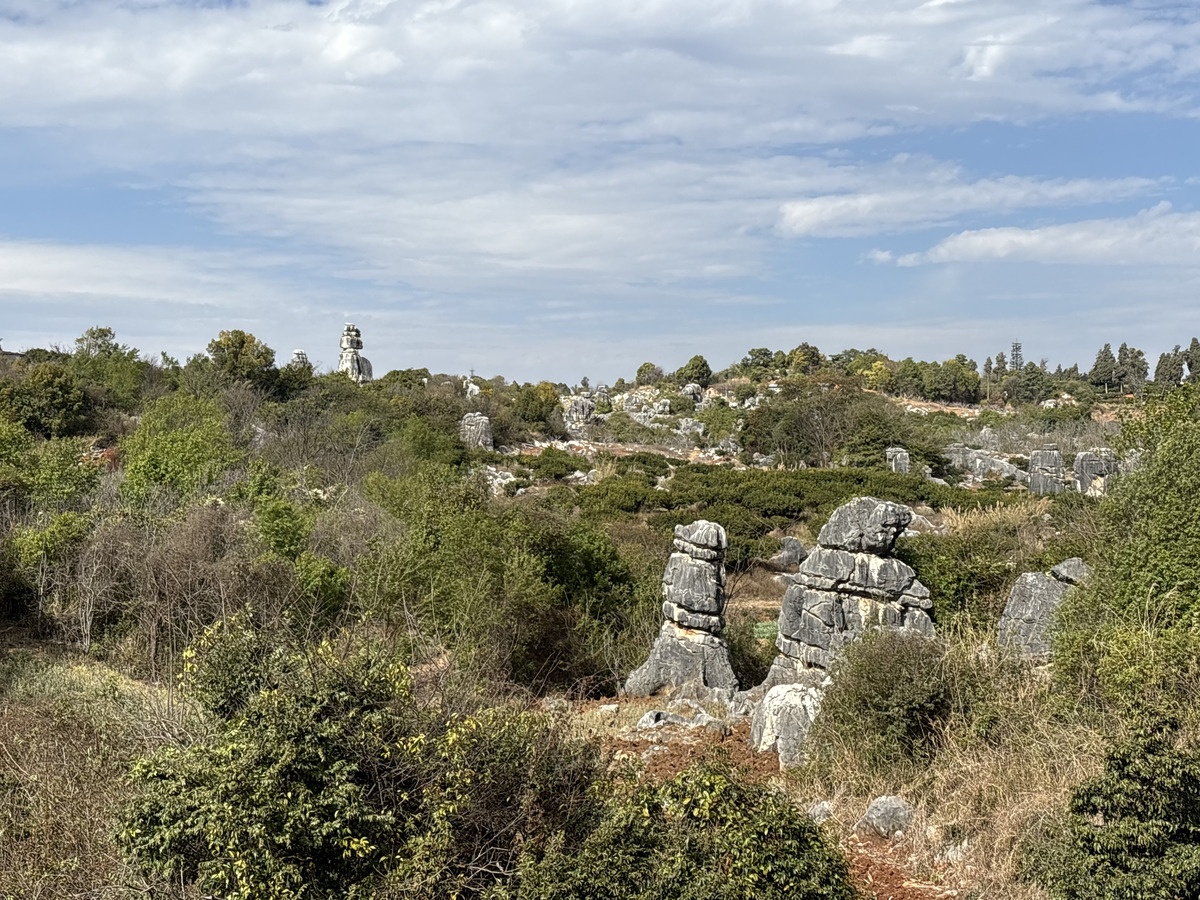 Picture China Shilin Stone Forest 2026-01 262 - Weather Shilin Stone Forest