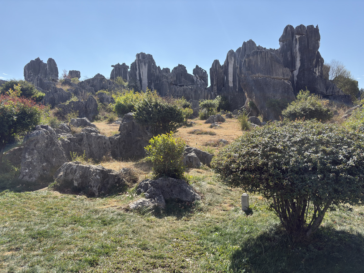 Picture China Shilin Stone Forest 2026-01 17 - Hotel Shilin Stone Forest