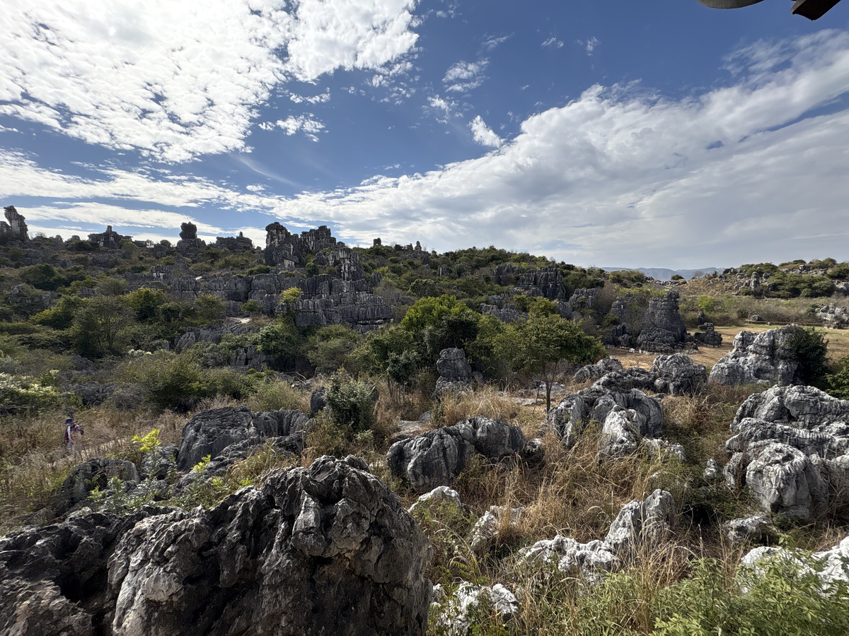 Picture China Shilin Stone Forest 2026-01 321 - Rentals Shilin Stone Forest