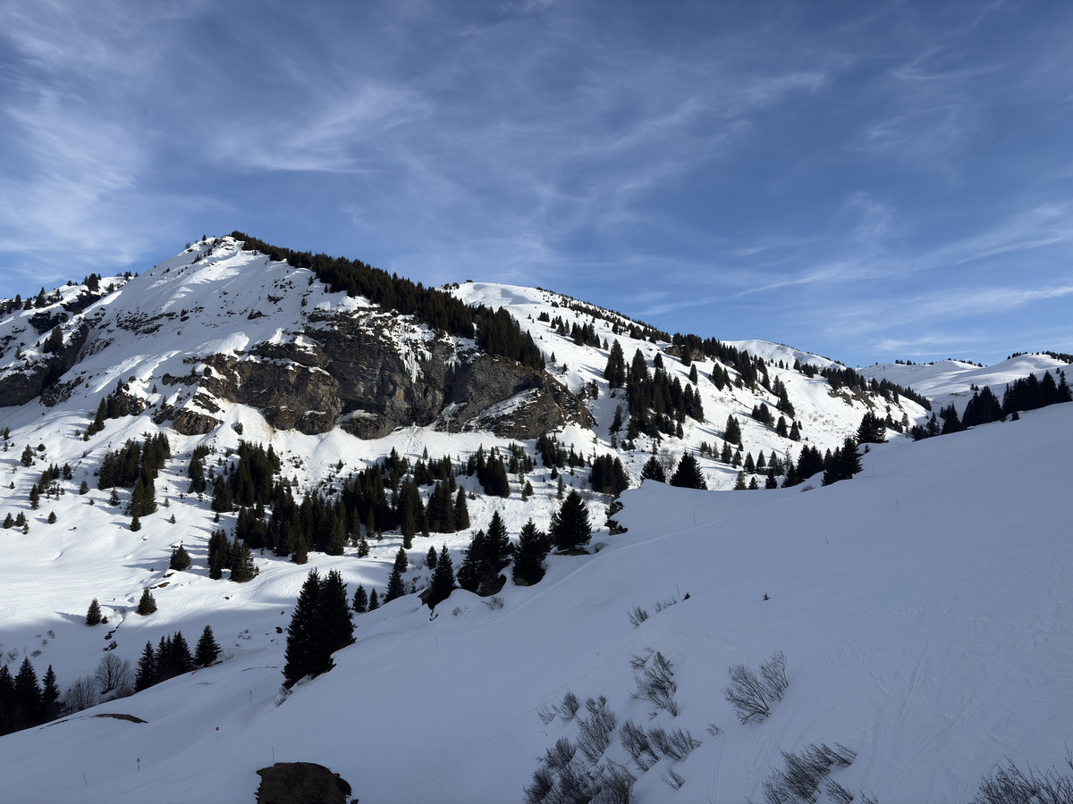 Picture France Praz sur Arly 2025-02 59