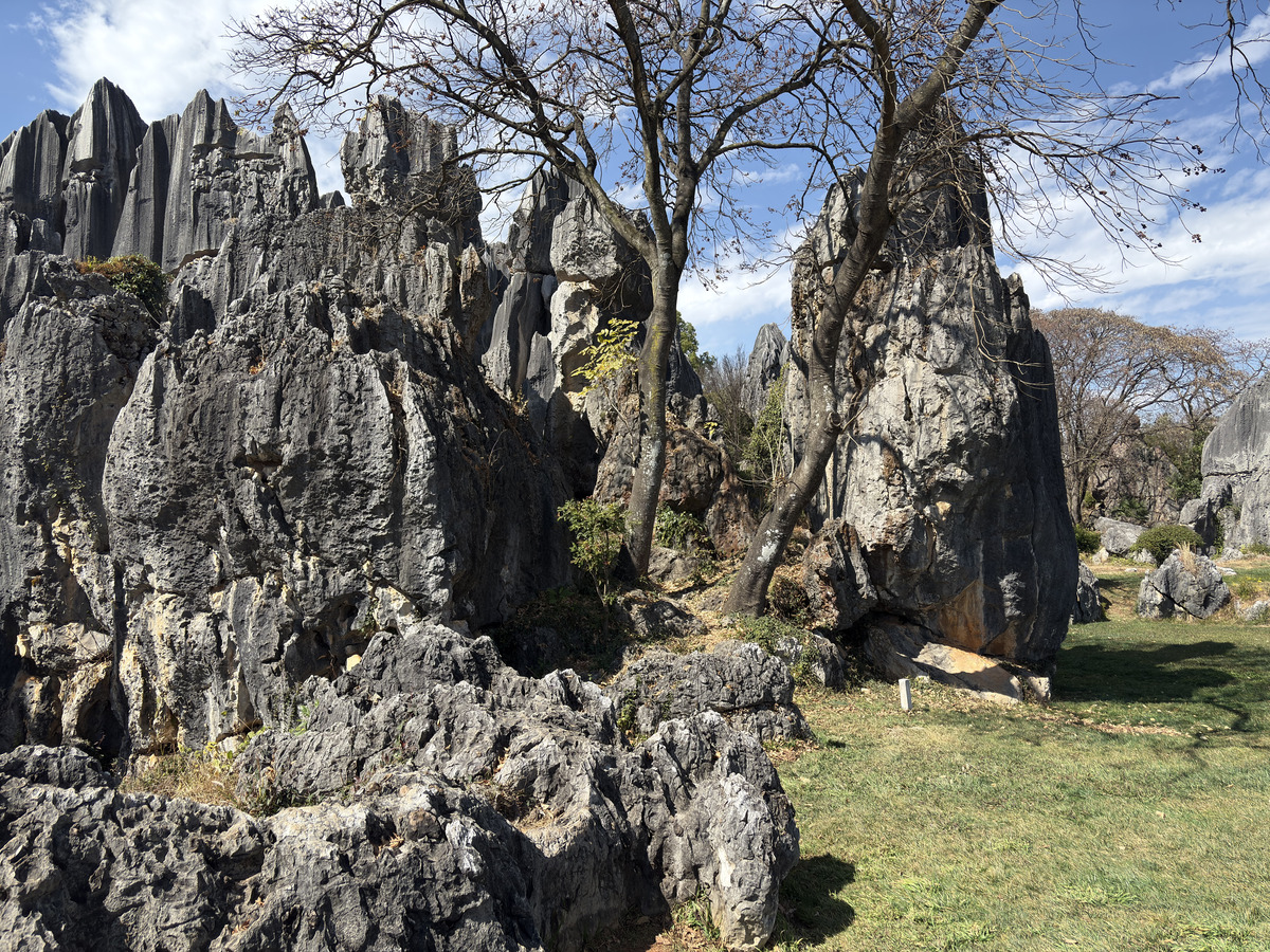 Picture China Shilin Stone Forest 2026-01 388 - Rental Shilin Stone Forest