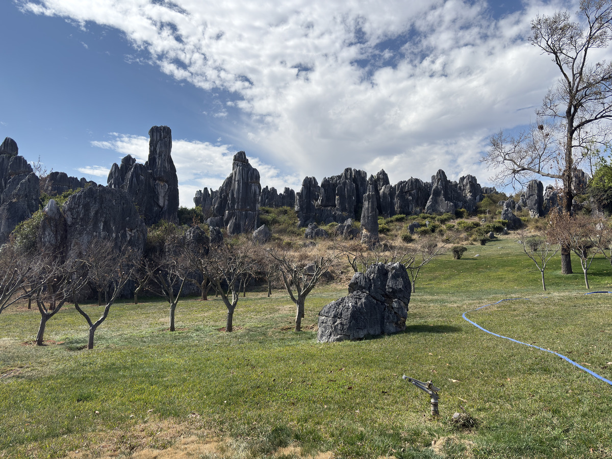 Picture China Shilin Stone Forest 2026-01 79 - Rentals Shilin Stone Forest