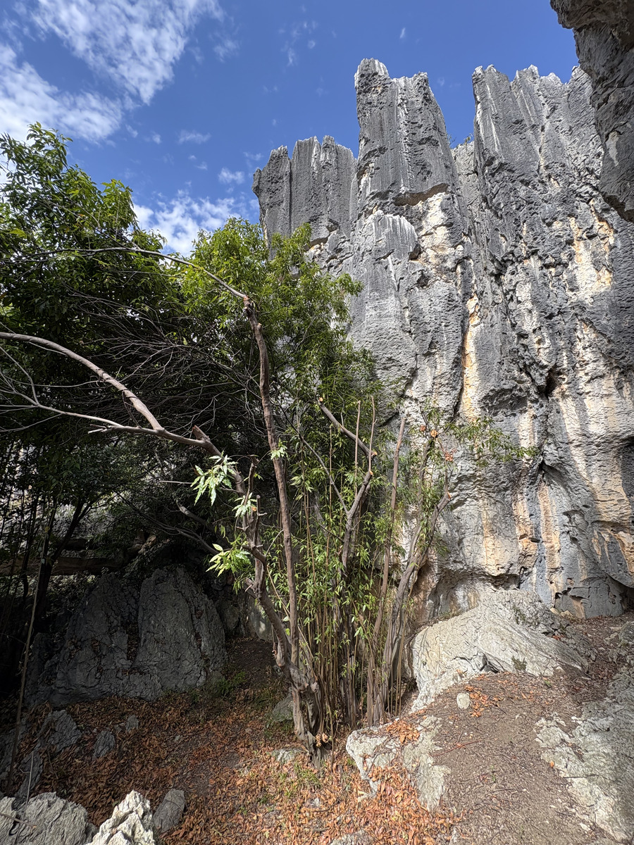 Picture China Shilin Stone Forest 2026-01 199 - City Sight Shilin Stone Forest