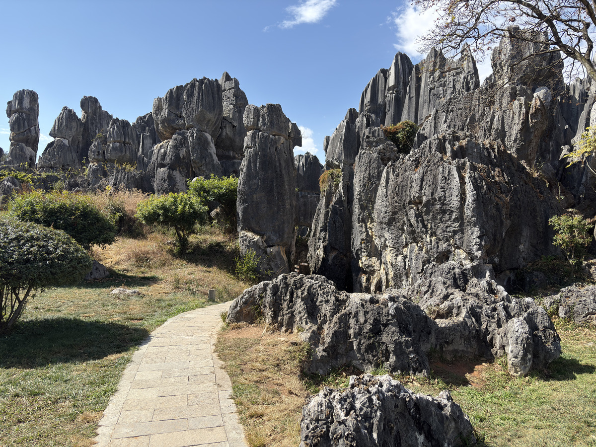 Picture China Shilin Stone Forest 2026-01 308 - Night Shilin Stone Forest