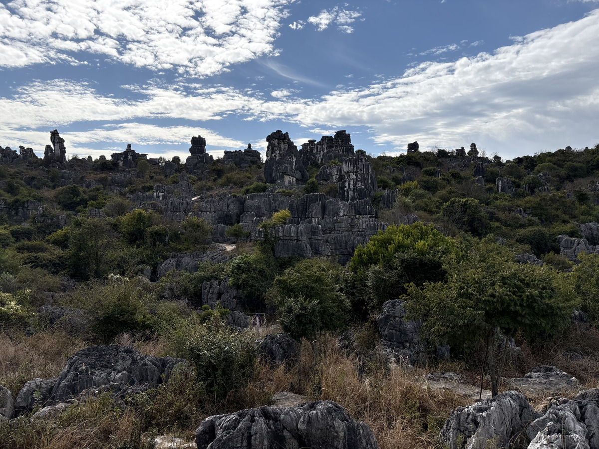 Picture China Shilin Stone Forest 2026-01 87 - Rentals Shilin Stone Forest