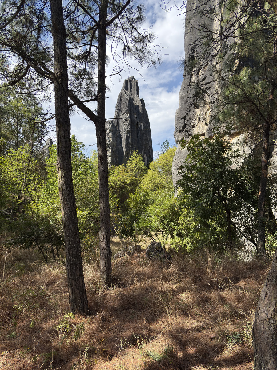 Picture China Shilin Stone Forest 2026-01 323 - Saving Shilin Stone Forest