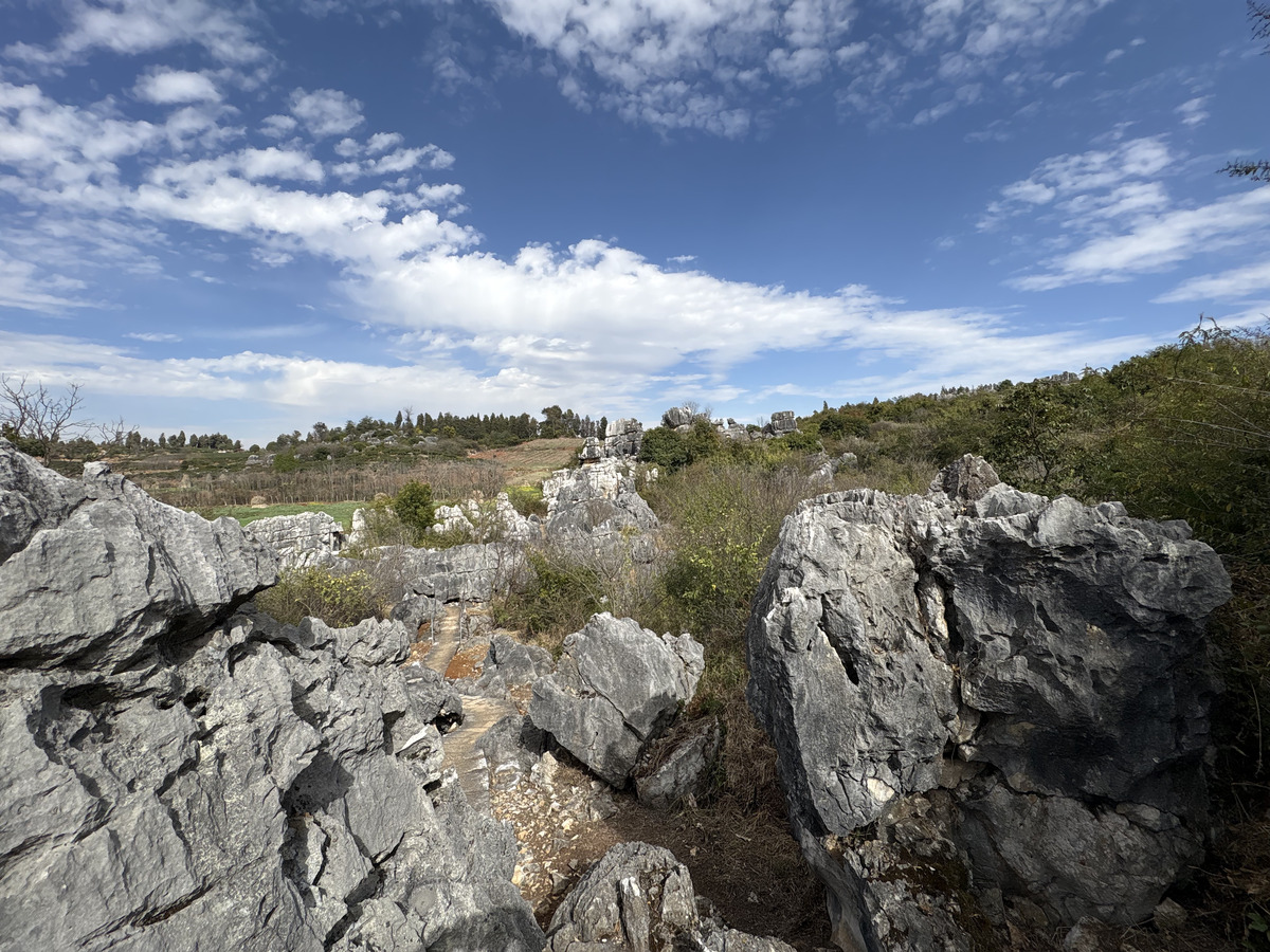Picture China Shilin Stone Forest 2026-01 315 - Cost Shilin Stone Forest