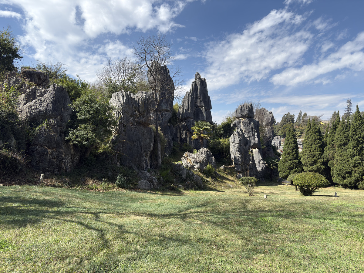 Picture China Shilin Stone Forest 2026-01 136 - Rain Season Shilin Stone Forest