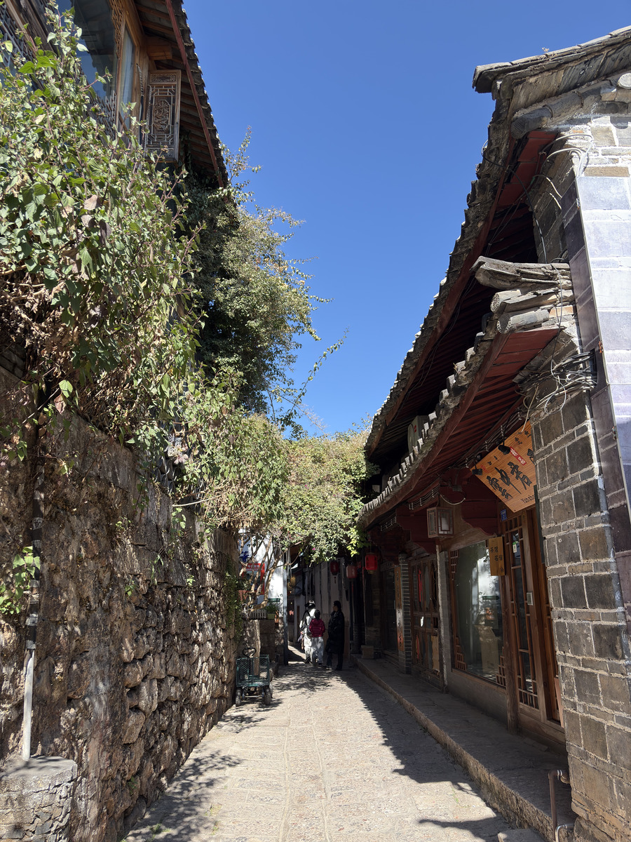 Picture China Lijiang 2026-01 338 - Hot Season Lijiang