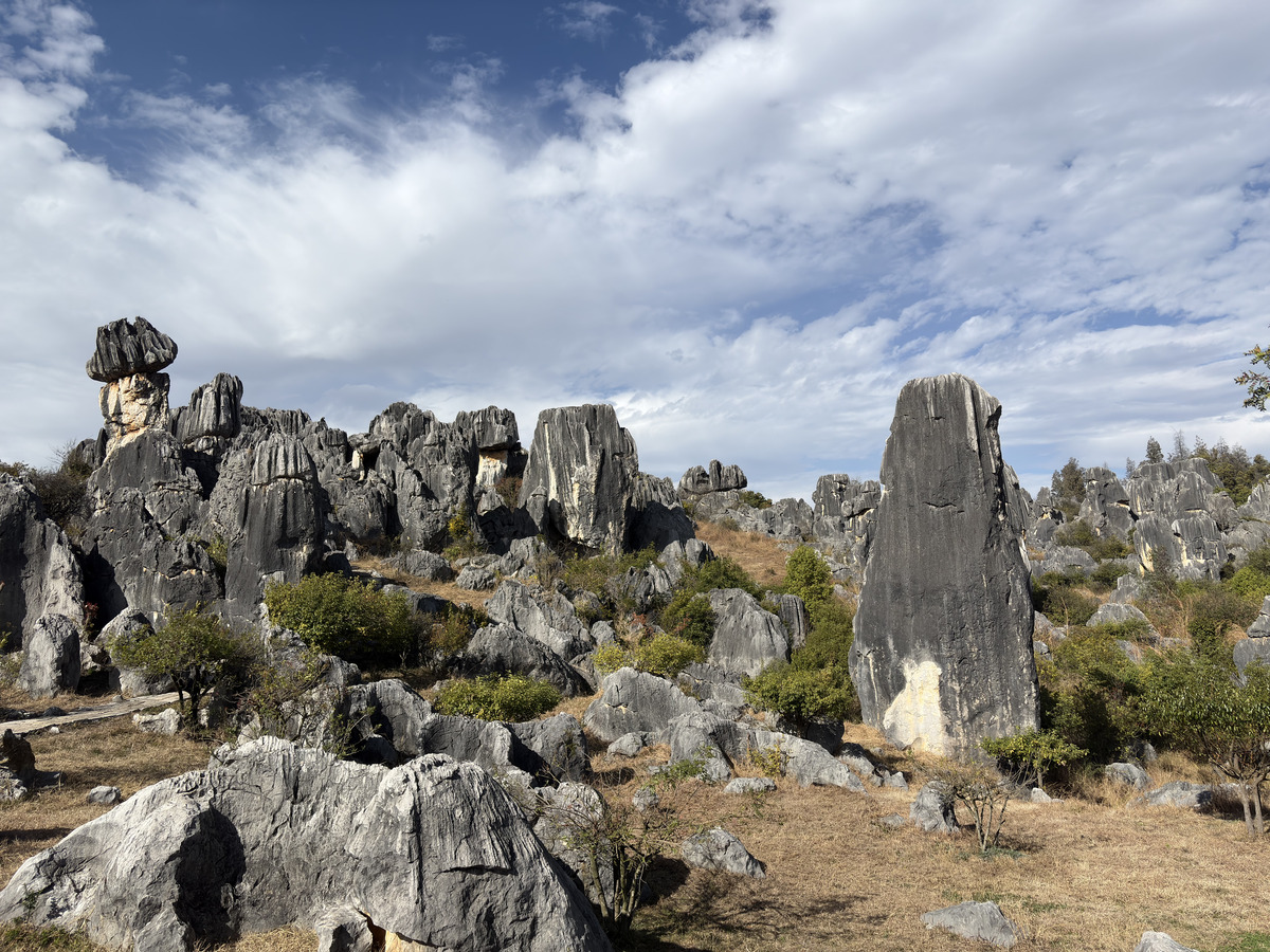 Picture China Shilin Stone Forest 2026-01 113 - Rooms Shilin Stone Forest
