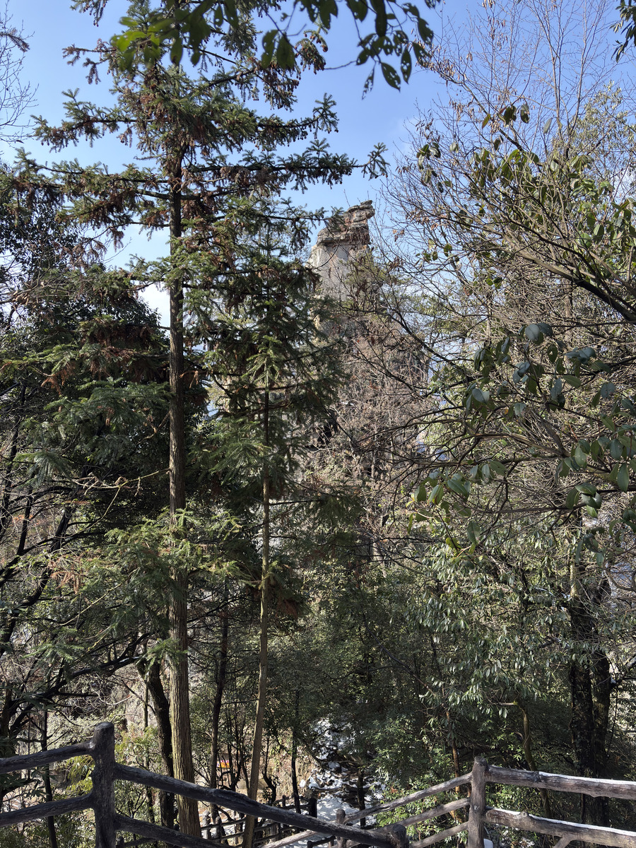Picture China Zhangjiajie Tianzi Mountrain 2026-01 153 - Hot Season Tianzi Mountrain