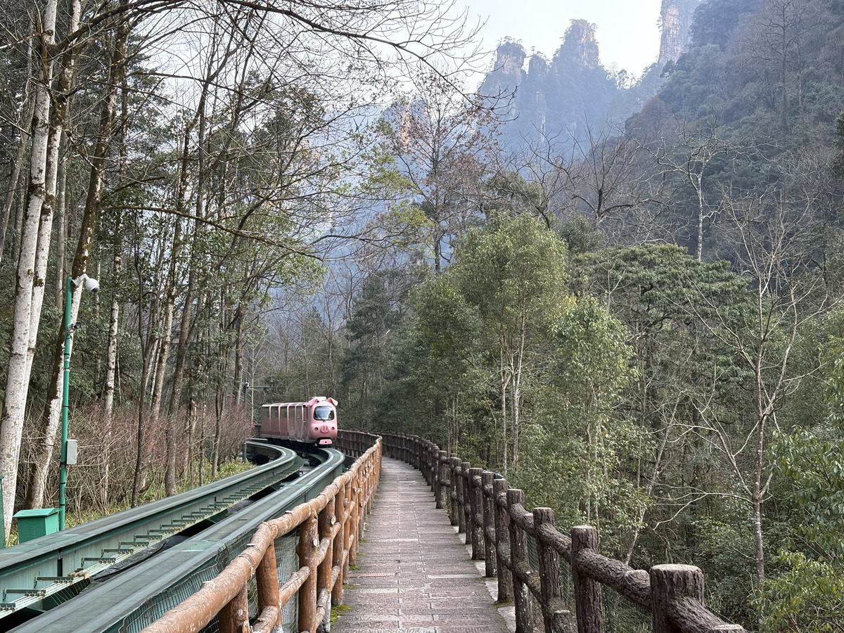 Picture China Zhangjiajie Tianzi Mountrain 2026-01 413 - To see Tianzi Mountrain