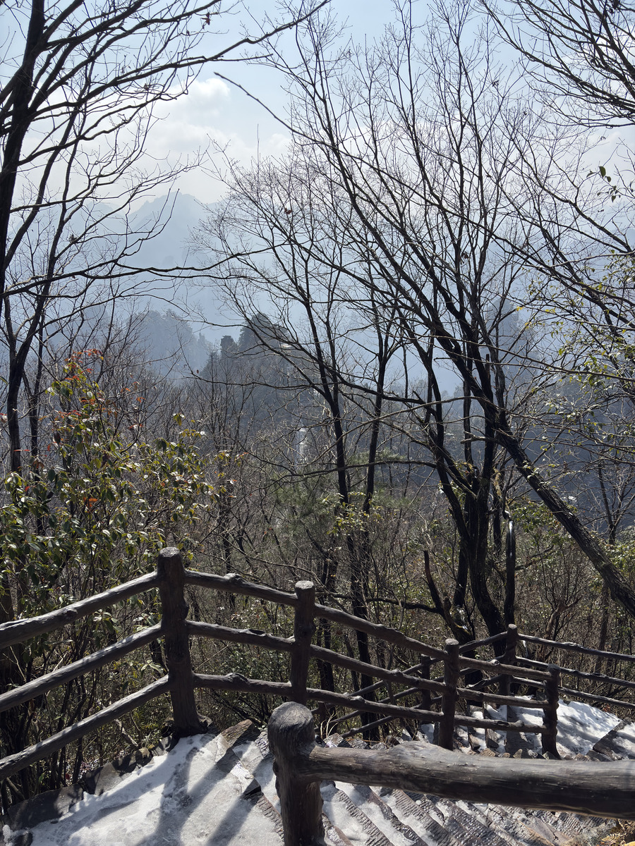 Picture China Zhangjiajie Tianzi Mountrain 2026-01 281 - Spring Tianzi Mountrain