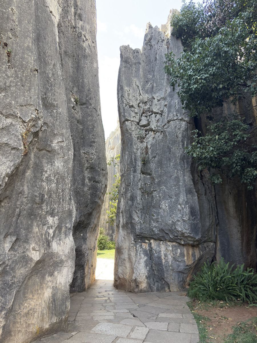 Picture China Shilin Stone Forest 2026-01 159 - Room Shilin Stone Forest