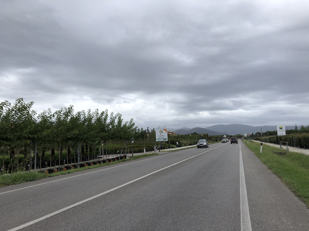 Picture Italy Road 2024-09 1 - City View Road