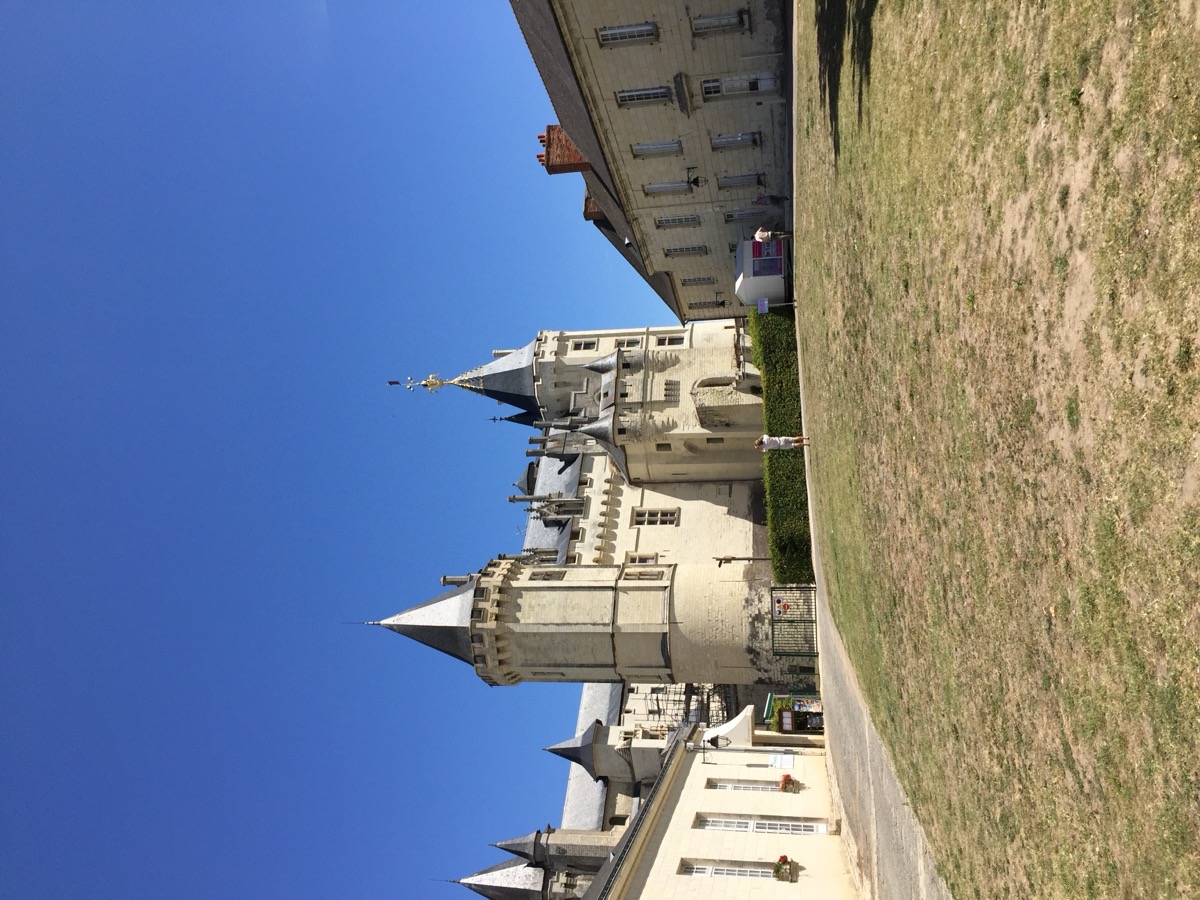 Picture France Montsoreau Castle 2017-08 11