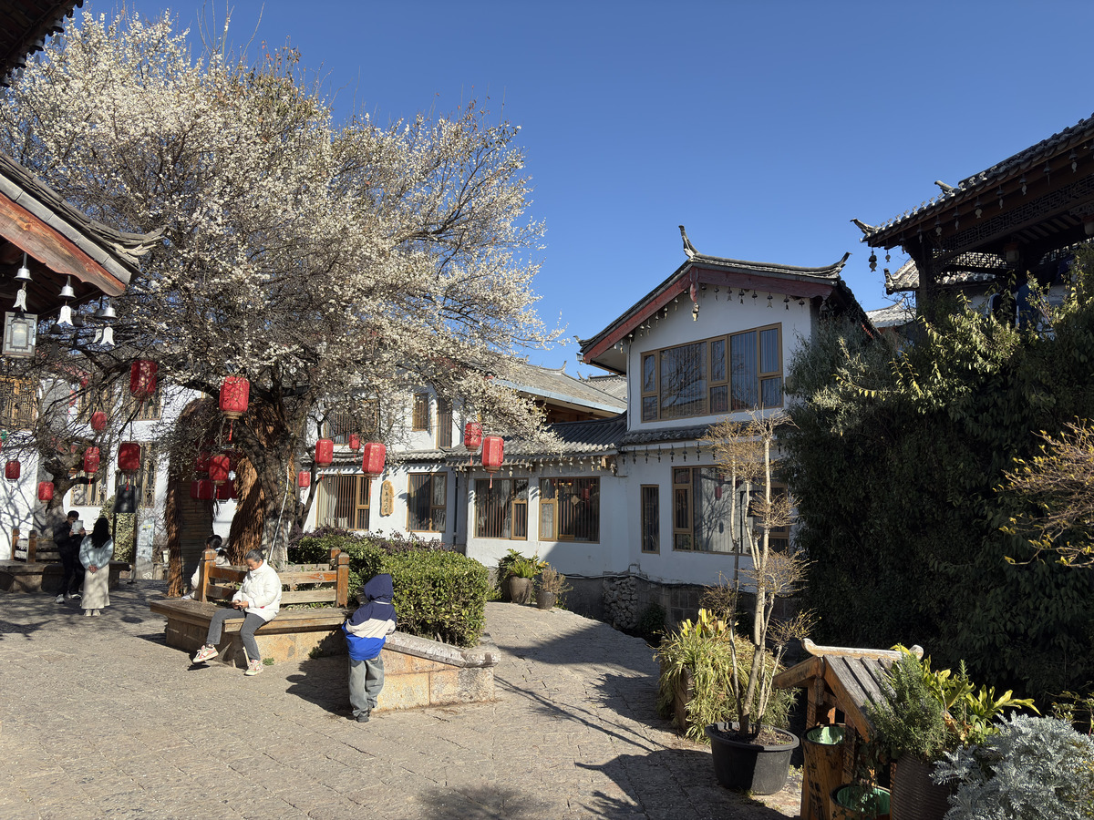 Picture China Lijiang 2026-01 564 - To see Lijiang