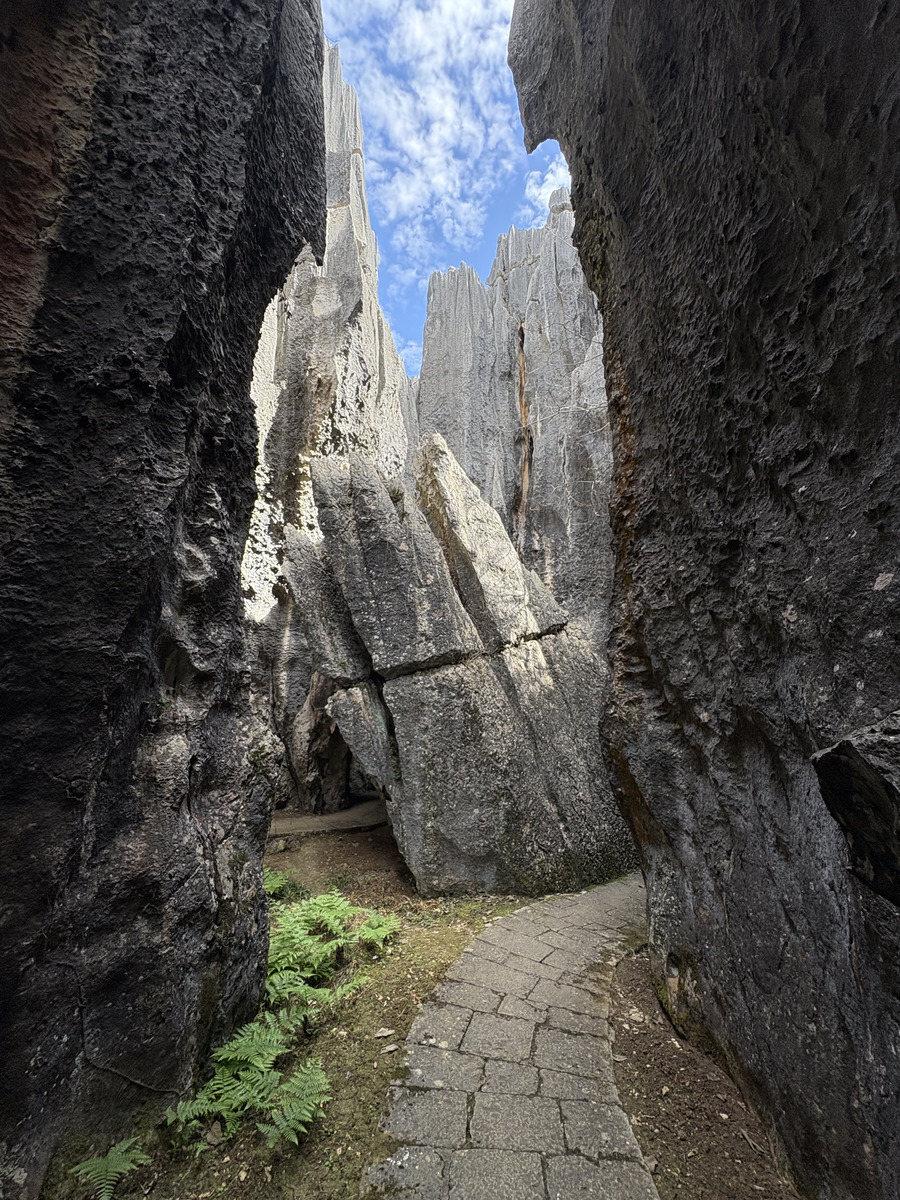 Picture China Shilin Stone Forest 2026-01 97 - SPA Shilin Stone Forest