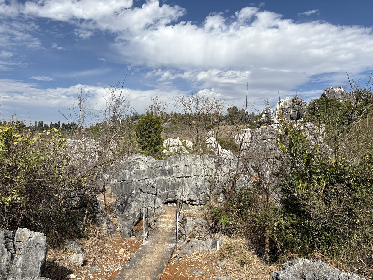 Picture China Shilin Stone Forest 2026-01 237 - Savings Shilin Stone Forest