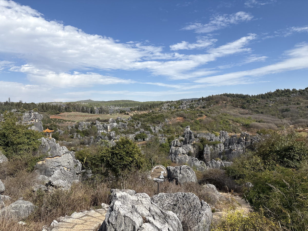 Picture China Shilin Stone Forest 2026-01 304 - Hot Season Shilin Stone Forest