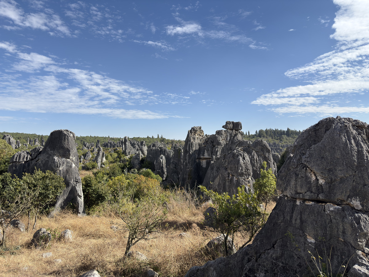 Picture China Shilin Stone Forest 2026-01 198 - Rental Shilin Stone Forest