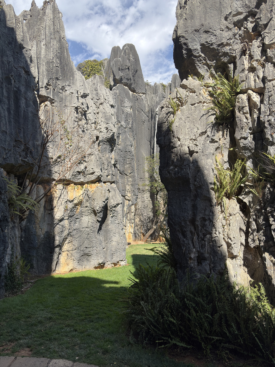 Picture China Shilin Stone Forest 2026-01 266 - Saving Shilin Stone Forest