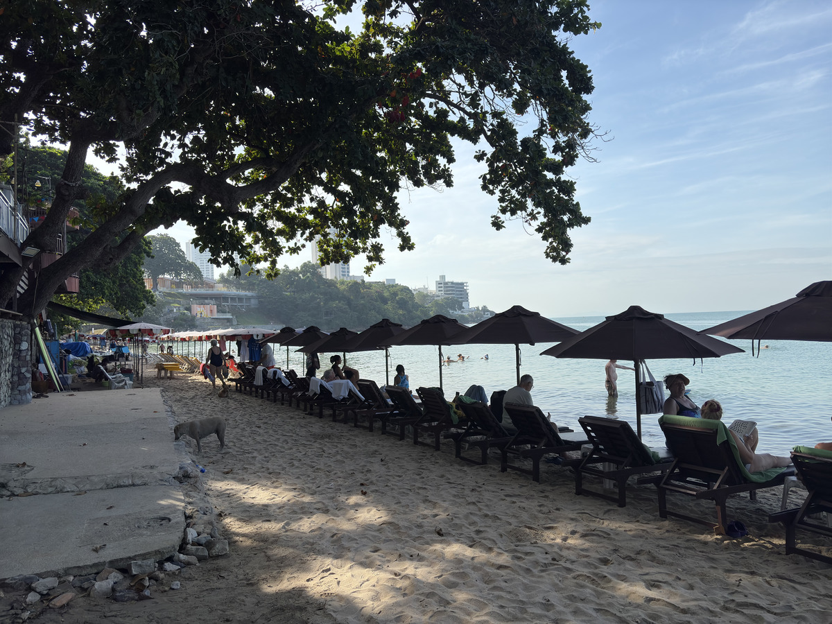 Picture Thailand Pattaya 2024-12 36 - Rentals Pattaya