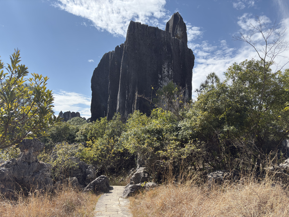 Picture China Shilin Stone Forest 2026-01 63 - SPA Shilin Stone Forest