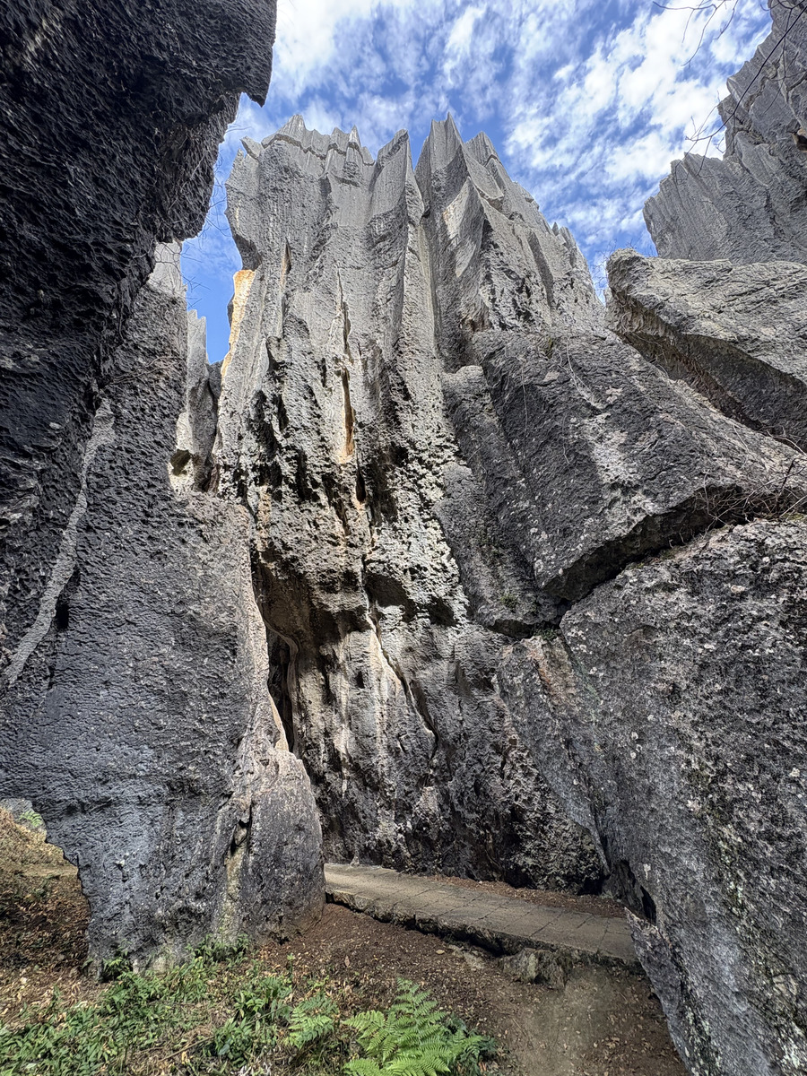 Picture China Shilin Stone Forest 2026-01 257 - City Sight Shilin Stone Forest