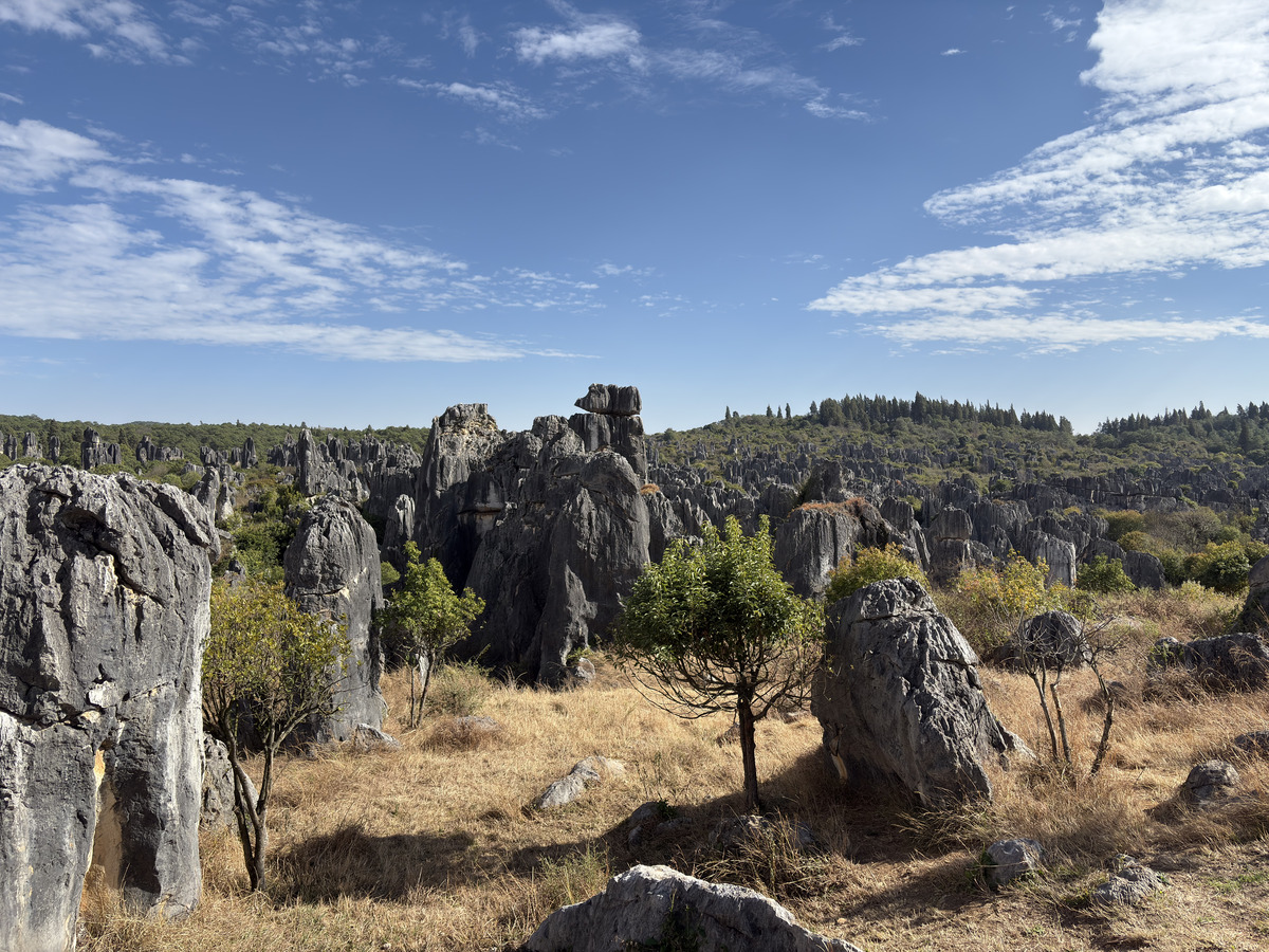 Picture China Shilin Stone Forest 2026-01 367 - City Sights Shilin Stone Forest