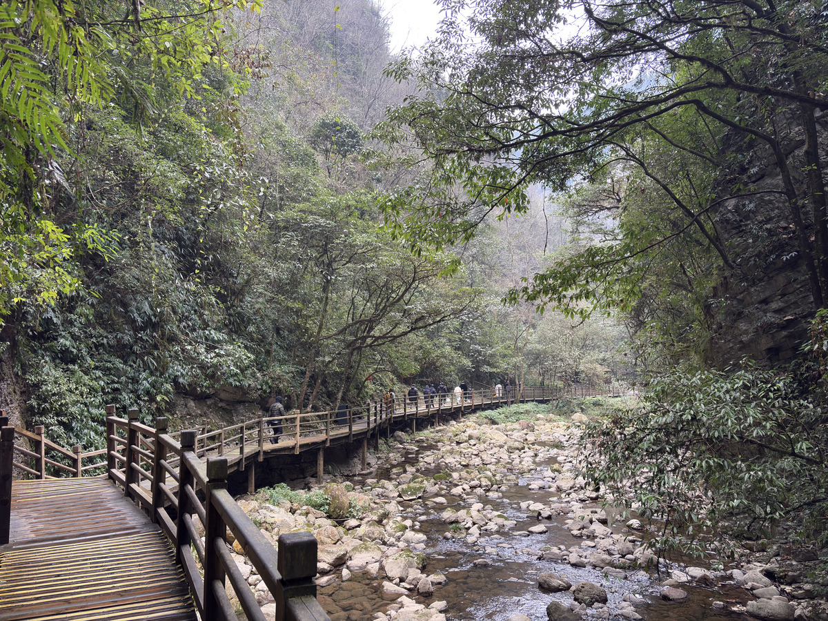 Picture China Zhangjiajie Grand Canion 2026-01 13 - Walking Street Grand Canion
