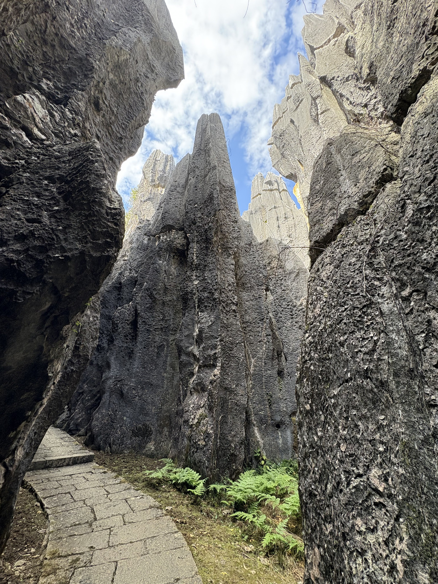 Picture China Shilin Stone Forest 2026-01 246 - Restaurants Shilin Stone Forest