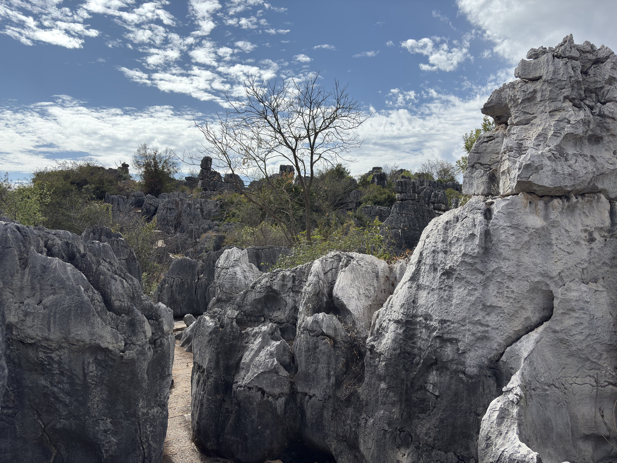 Picture China Shilin Stone Forest 2026-01 130 - Room Shilin Stone Forest