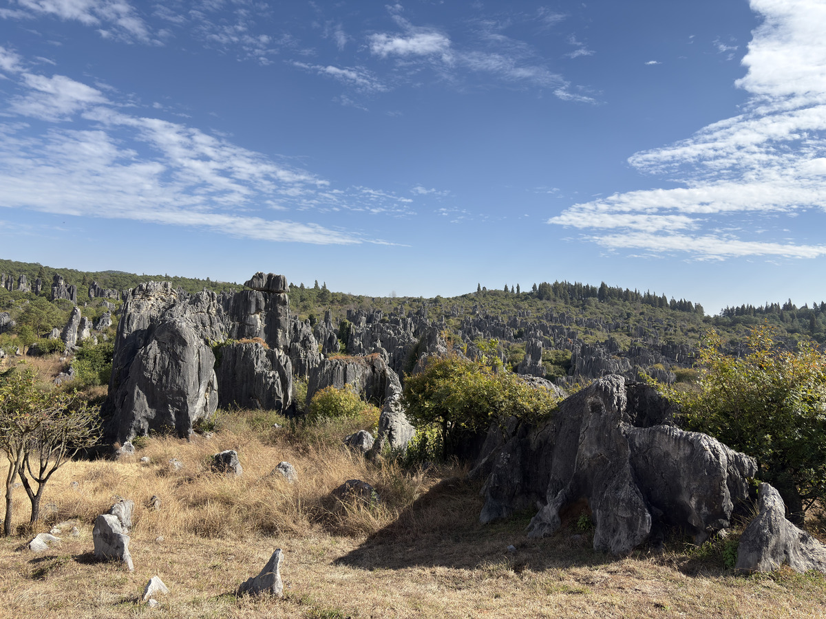 Picture China Shilin Stone Forest 2026-01 332 - Land Shilin Stone Forest