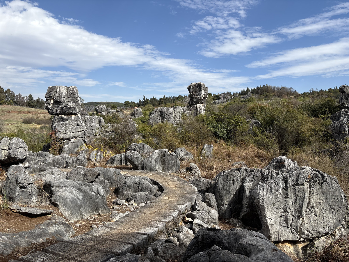 Picture China Shilin Stone Forest 2026-01 337 - SPA Shilin Stone Forest