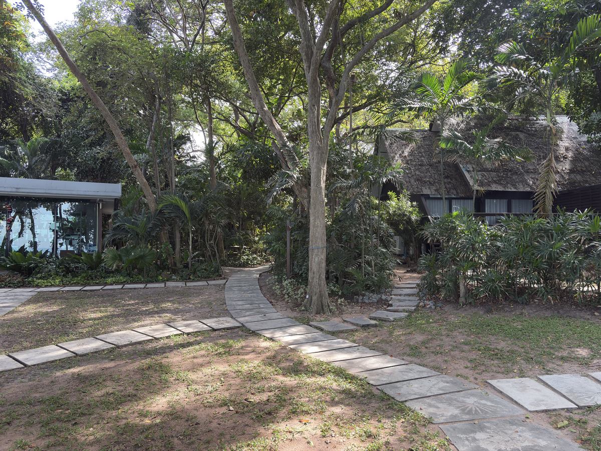 Picture Thailand Pattaya 2024-12 69 - Savings Pattaya