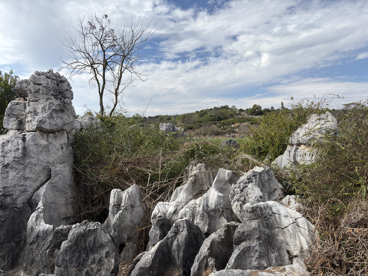 Picture China Shilin Stone Forest 2026-01 158 - Lands Shilin Stone Forest