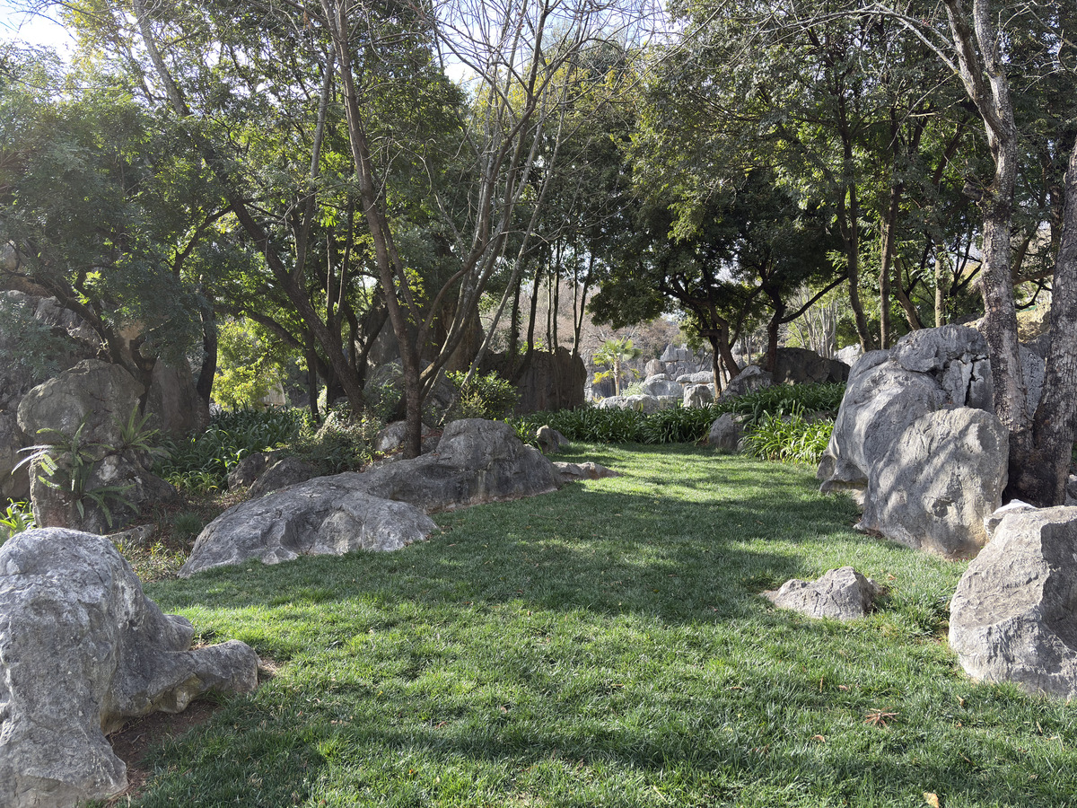 Picture China Shilin Stone Forest 2026-01 269 - City View Shilin Stone Forest