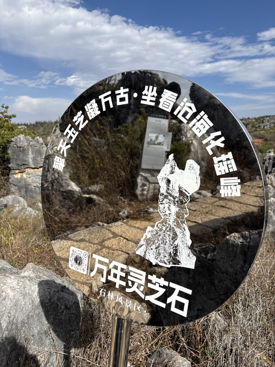 Picture China Shilin Stone Forest 2026-01 329 - City View Shilin Stone Forest