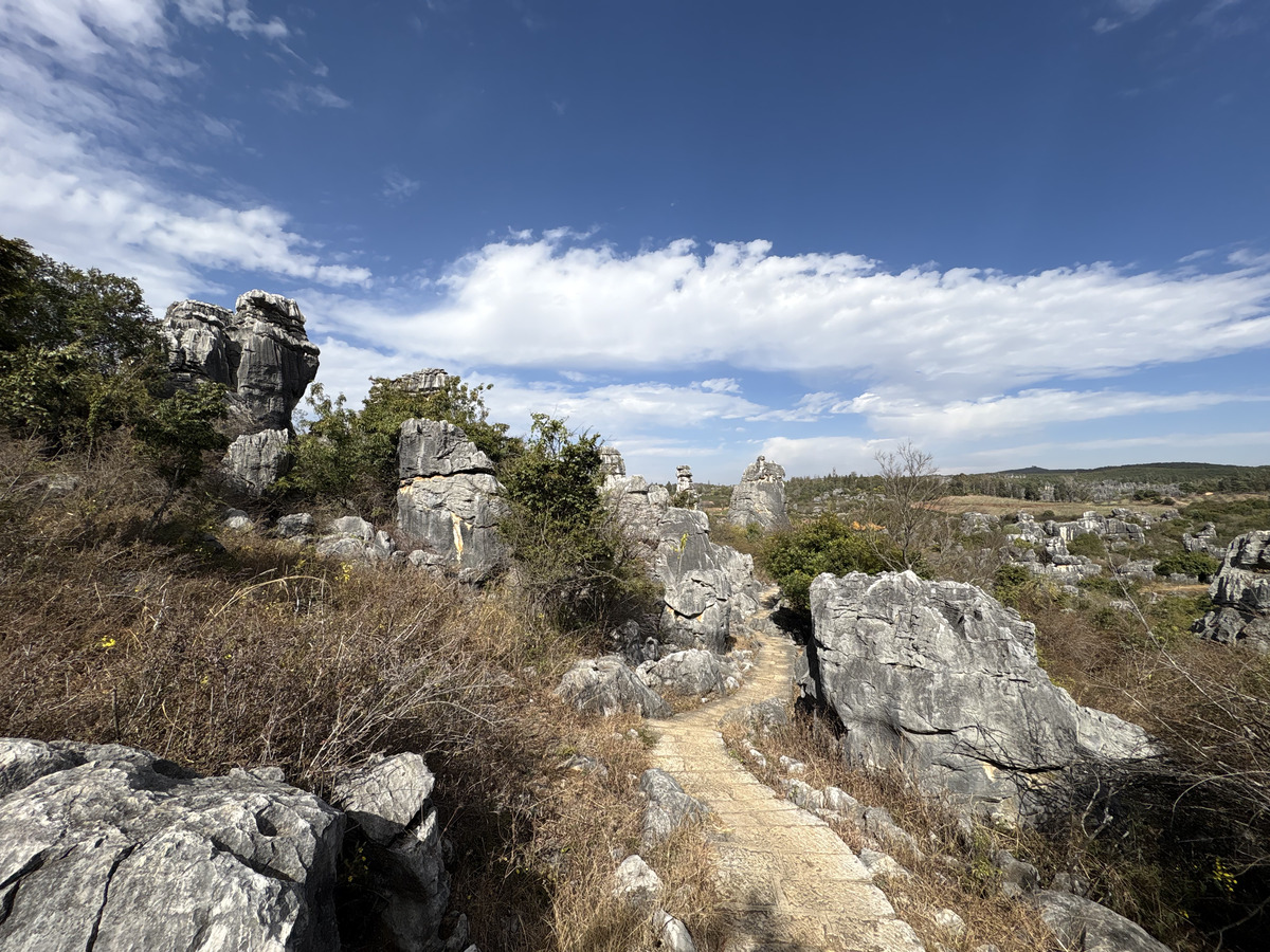 Picture China Shilin Stone Forest 2026-01 370 - Monument Shilin Stone Forest