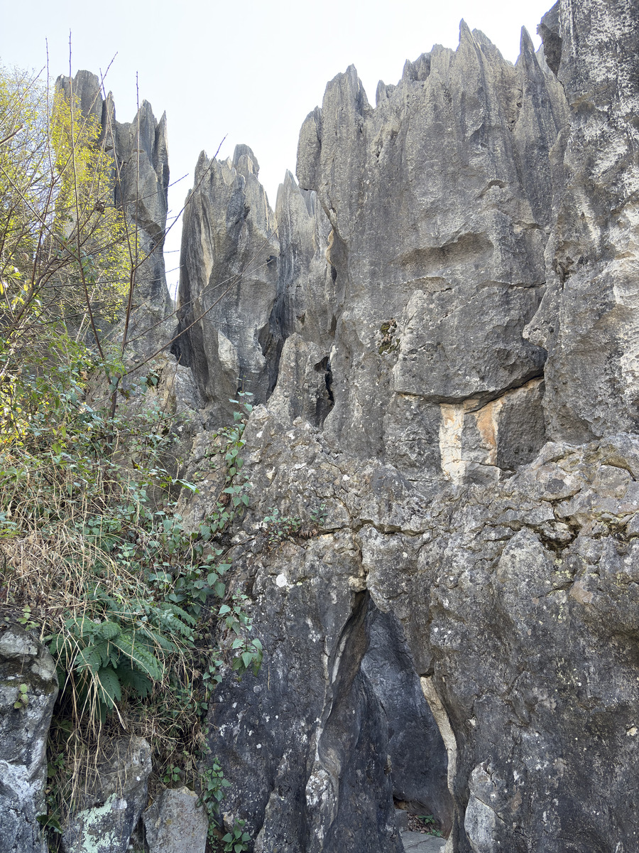 Picture China Shilin Stone Forest 2026-01 273 - Lands Shilin Stone Forest