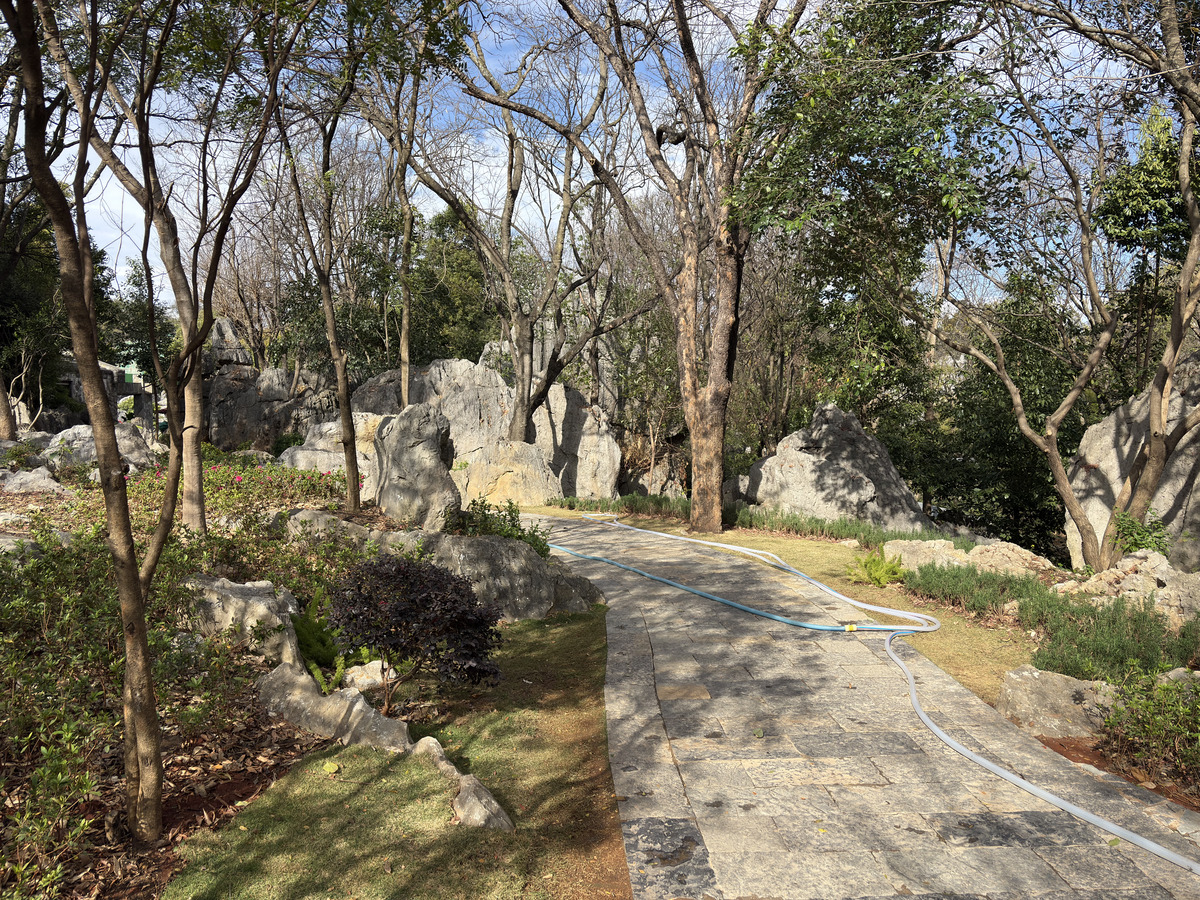 Picture China Shilin Stone Forest 2026-01 385 - Hot Season Shilin Stone Forest