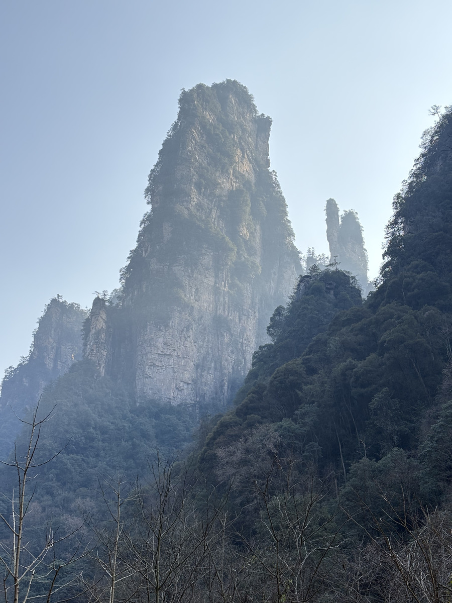 Picture China Zhangjiajie Tianzi Mountrain 2026-01 180 - Rental Tianzi Mountrain